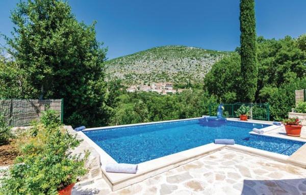 With Pool Petmat