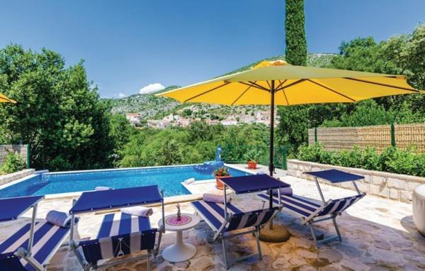 Vila With Pool Petmat